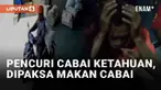 Nasib apes dialami maling cabai di Desa Kataan, Ngadirejo, Temanggung, Jawa Tengah (19/7/2024). Pelaku ditangkap warga usai identitasnya diketahui. Warga memberikan hukuman dengan cara memaksa pelaku memakan cabai curian.