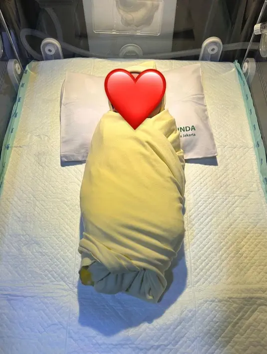 Sayangnya netizen belum bisa melihat wajah anak kedua Aurel Hermansyah dan Atta Halilintar. Sebab, hingga kini wajahnya masih ditutupi