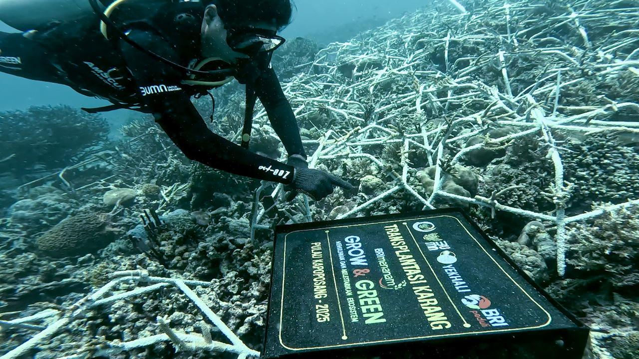 BRI Pertegas Komitmen Jaga Ekosistem Lingkungan melalui BRI Menanam