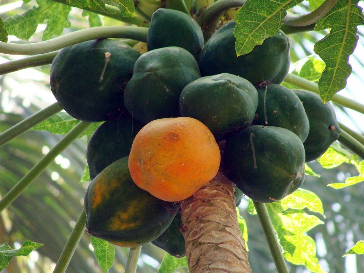 3. Datangkan makhluk halus