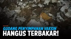 THUMBNAIL terbakar