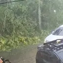 Pohon Raksasa di Taman Balita Tumbang, Satu Korban Terluka