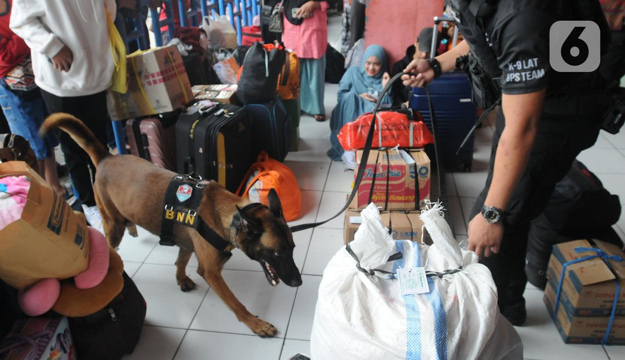 <p>Anjing pelacak K9 BNN mengendus para penumpang di Terminal Kampung Rambutan, Jakarta, Rabu (27/04/20222). Pemeriksaan dengan anjing pelacak tersebut dilakukan guna mengantisipasi peredaran narkoba di tengah arus mudik menyambut Lebaran atau Hari Raya Idul Fitri 1443 H. (merdeka.com/Arie Basuki)</p>