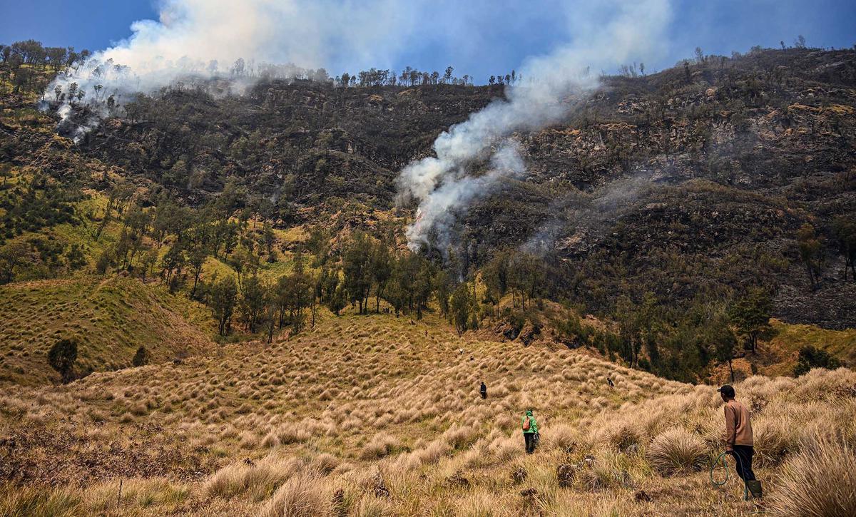 Pemadaman Terus Dilakukan Cegah Api Meluas di Gunung Bromo