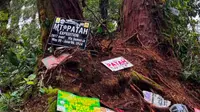 Mapala UI Tembus Jalur Terpanjang di Sumatera, Gelar Upacara HUT RI di Puncak Gunung Patah Bengkulu