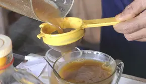 3 Tanaman Herbal Indonesia Ini Mendunia karena Khasiatnya