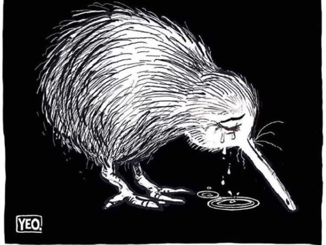 Mengenal Kartunis Selandia Baru Yang Membuat Ilustrasi Burung Kiwi Menangis Lifestyle Liputan6 Com