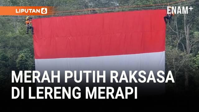 Dalam rangka memperingati 80 tahun Indonesia merdeka, Tim SAR Gabungan Daerah Istimewa Yogyakarta mengibarkan bendera Merah Putih raksasa berukuran 8 x 10 meter di lereng Gunung Merapi, Sleman. Aksi ini dilakukan di atas jurang Kali Kuning dengan ket...
