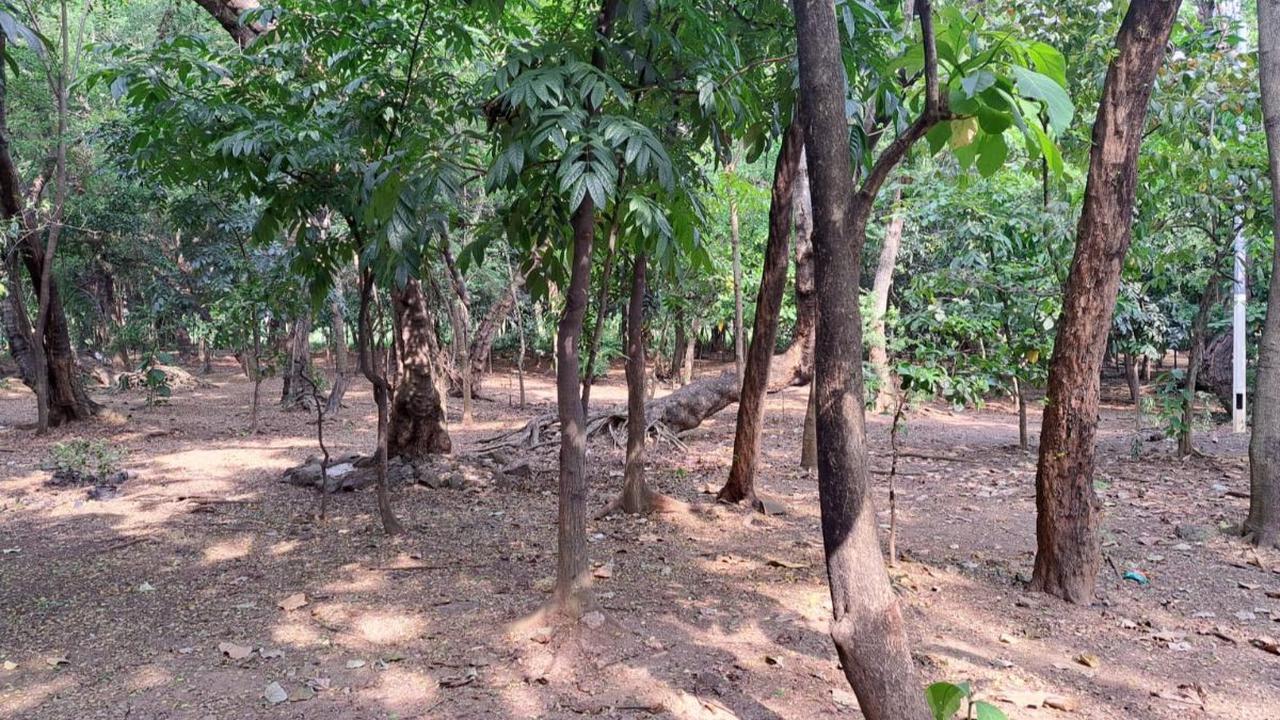 Selain itu, Pemkot Jakarta Timur juga telah berkoordinasi dengan Forum Koordinasi Pimpinan Kota (Forkopimko) untuk membantu mengawasi Hutan Kota UKI Cawang.