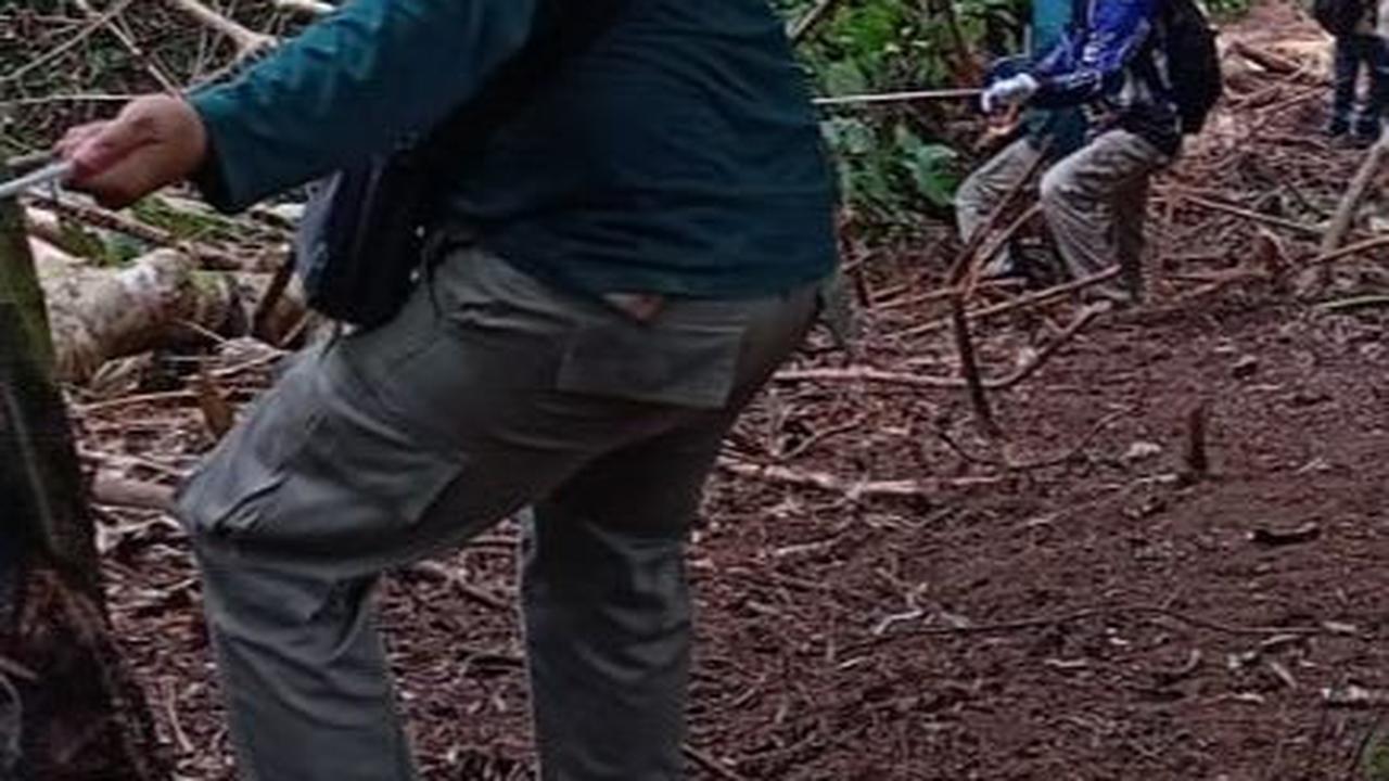 Menyusuri Medan Terjal demi Menyingkap 4 Hektare Ladang Ganja di Rimba Lamteuba Aceh Besar