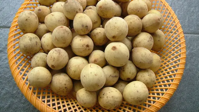 Manfaat Buah Duku