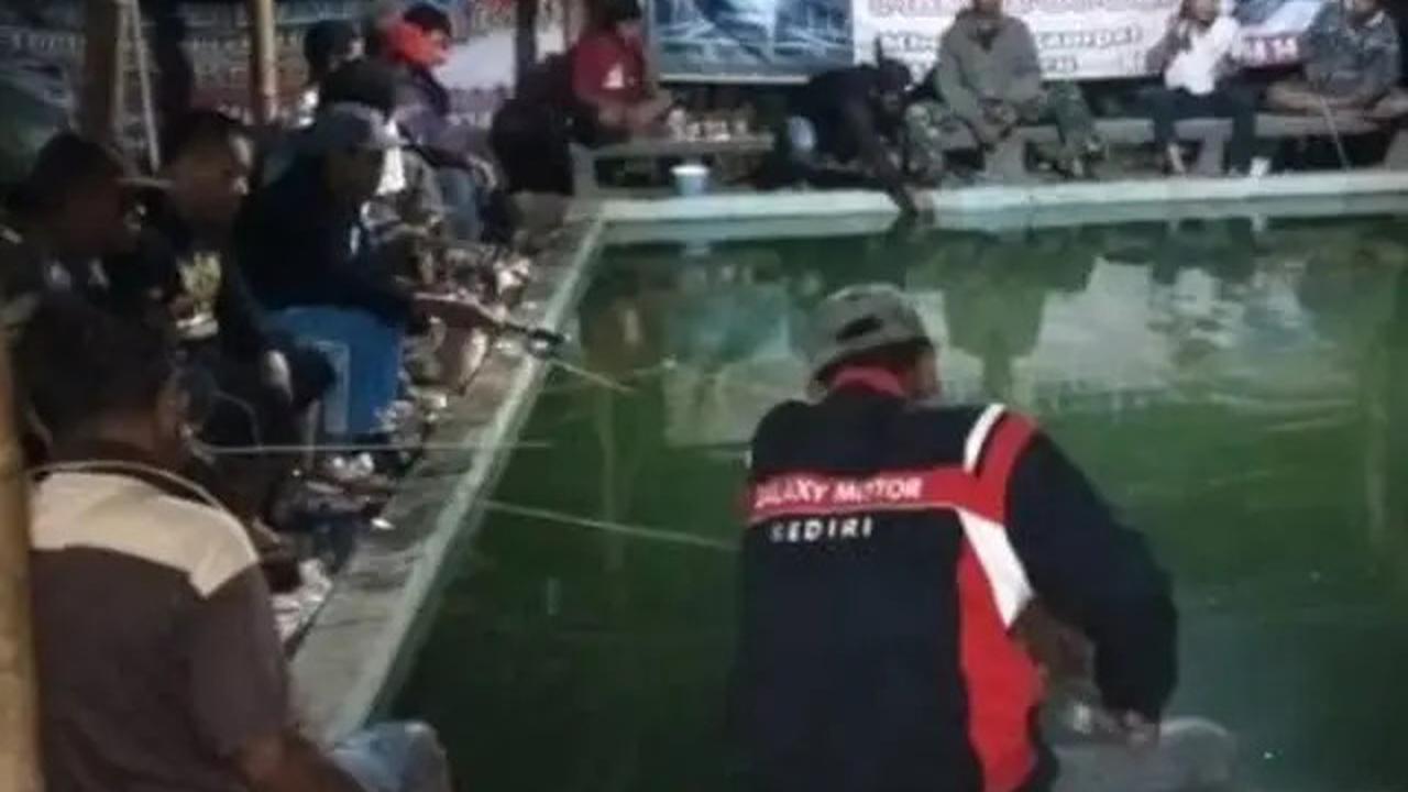 12 Rekomendasi Spot Mancing Nyaman 2025 di Kediri, Cocok Buat Pemancing Pemula &amp; Pro