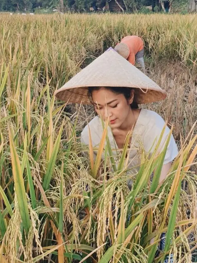 6 Potret Prisia Nasution Panen Padi di Sawah, Tetap Tampil Menawan