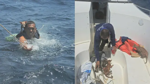Bikin Haru, Pria Ini Selamatkan 4 Ekor Kucing dari Kapal yang Hampir Tenggelam. (Sumber: Facebook/RoyalThaiNavyFanpage)