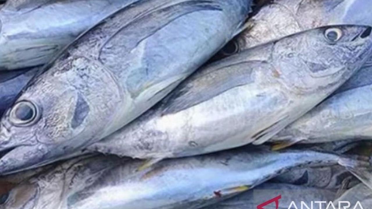 Pemprov Maluku Gencarkan Kampanye Konsumsi Ikan Beku dan Cabai Kering untuk Stabilitas Pangan