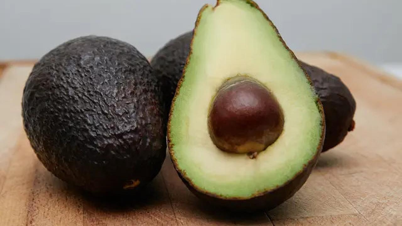 Resep Seduhan Daun Alpukat untuk Menurunkan Kolesterol dan Darah Tinggi