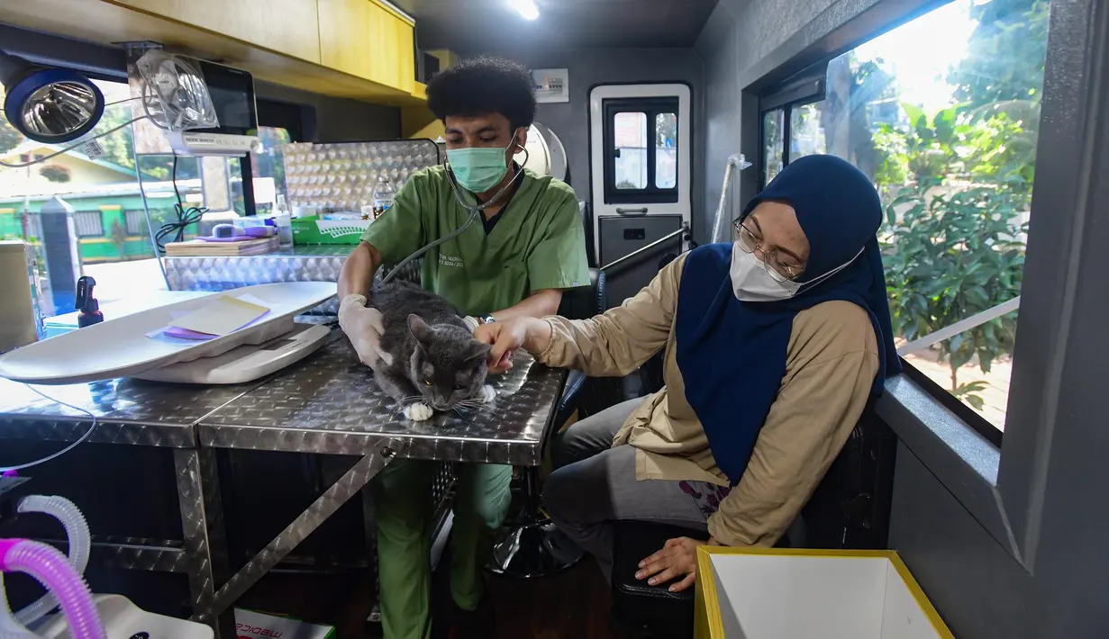 Dokter hewan memeriksa kucing peliharaan warga pada mobil Klinik Hewan Keliling di halaman Kantor Kelurahan Srengseng sawah, Jakarta Selatan, Rabu, 15/ Juli 2026. (KLY/ Arie Basuki)
