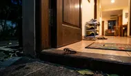 7 Titik Tempat yang Mudah Dimasuki Serangga, Kenali Sebelum Rumah Kebanjiran Hama