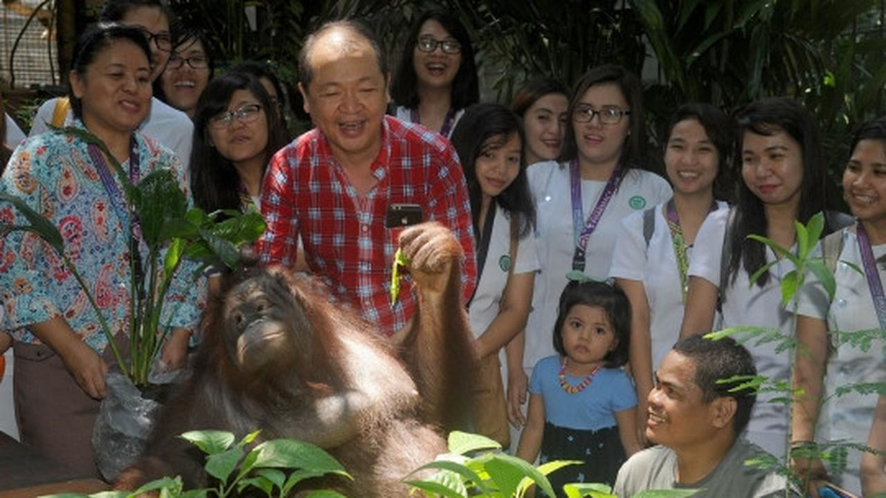 Orang utan ini diberi nama Pacquiao