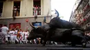 Dua banteng terjatuh saat ingin menyeruduk peserta pada festival San Fermin di Pamplona, Spanyol utara, (9/7). festival tahunan ini amat populer di Spanyol, dimana peserta diuji Keberaniannya dalam berhadapan dengan banteng. (REUTERS/Eloy Alonso)