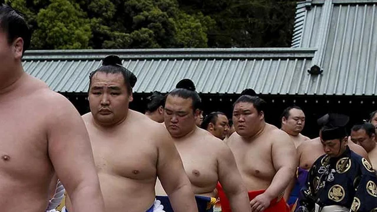 Kelebihan Beban, Japan Airlines Tambah Penerbangan Buat Angkut 27 Pesumo