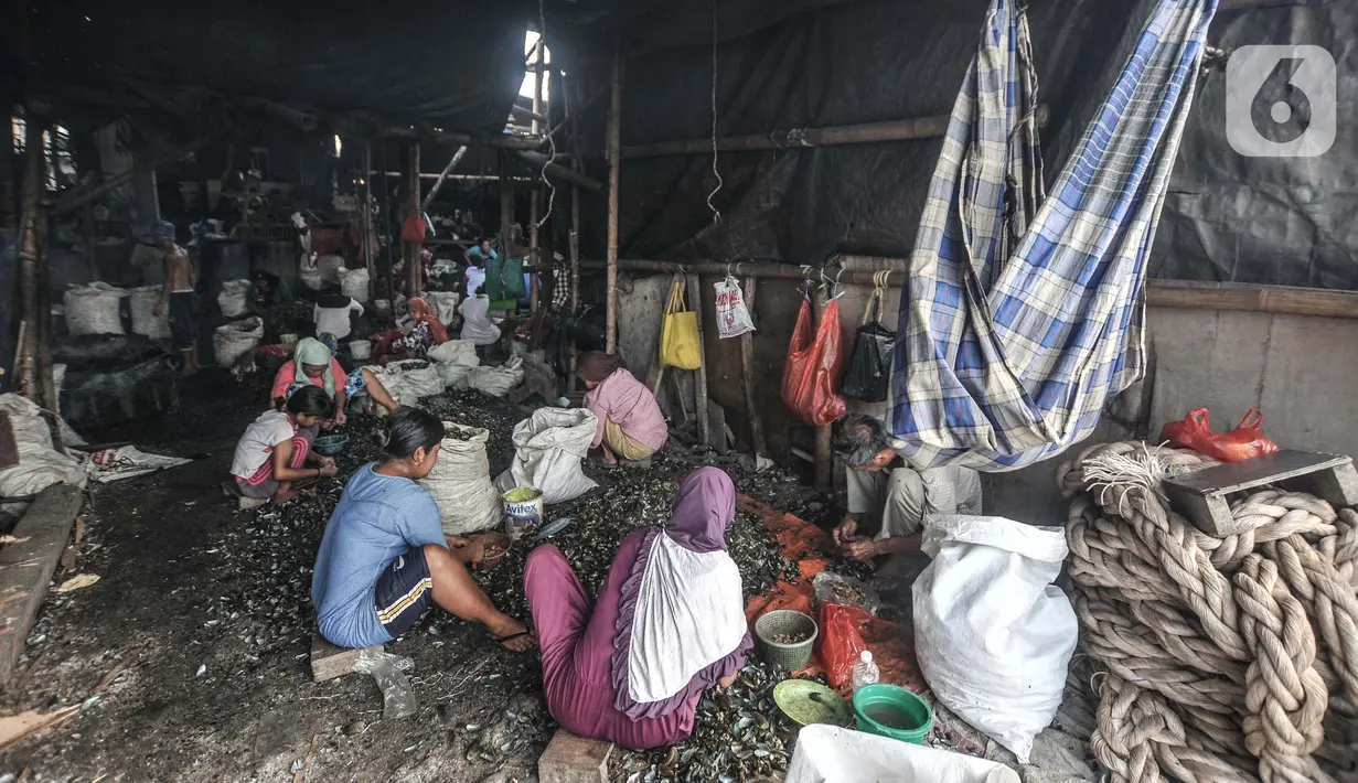 Aktivitas pekerja saat mengupas kerang hijau di Kalibaru, Cilincing, Jakarta Utara, Minggu (13/6/2021). Tak jarang para perempuan ini mengajak anaknya ikut bekerja, turut merasakan aroma tak sedap pengolahan kerang hijau. (merdeka.com/Iqbal S. Nugroho)