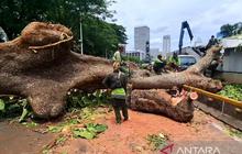 Pramono Anung Ungkap Upaya Antisipasi Cuaca Ekstrem Jakarta: Perapian Pohon hingga Kesiapan Pompa Hadapi Rob
