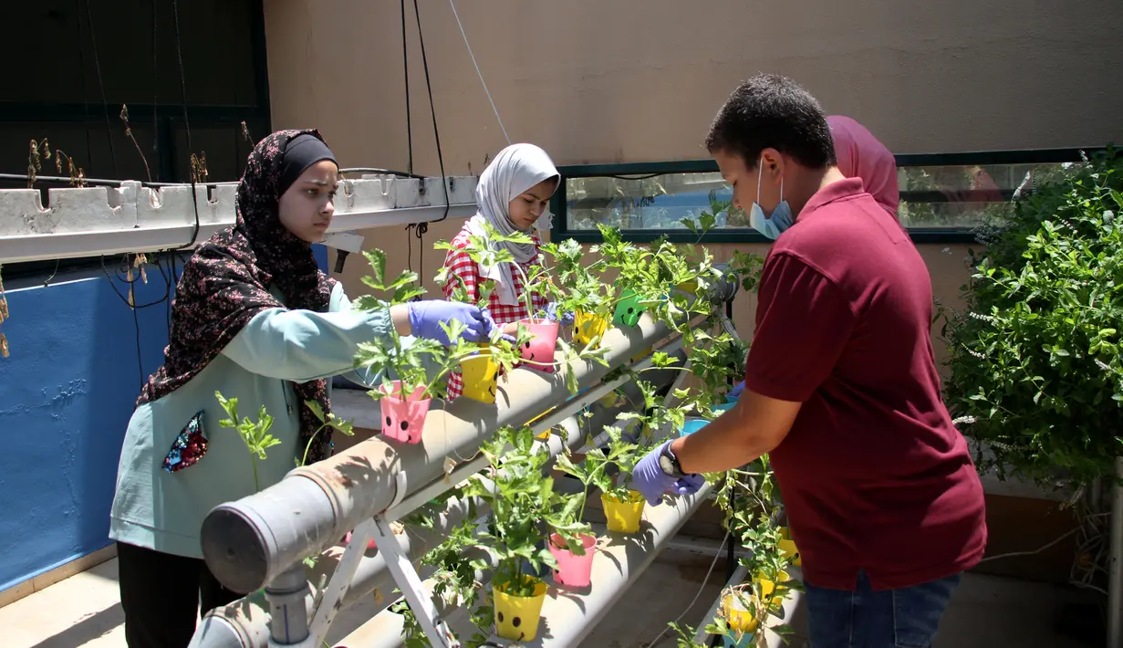 Anak-anak Palestina merawat tanaman dalam cangkir plastik di Pusat Anak-Anak Al-Qattan, Gaza City, Senin (20/7/2020). Program ini bernama daur ulang limbah rumah tangga menjadi produk yang ramah lingkungan. (Xinhua/Rizek Abdeljawad)