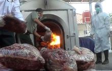 Delapan karung daging celeng ilegal dimusnahkan di Bandara Soetta