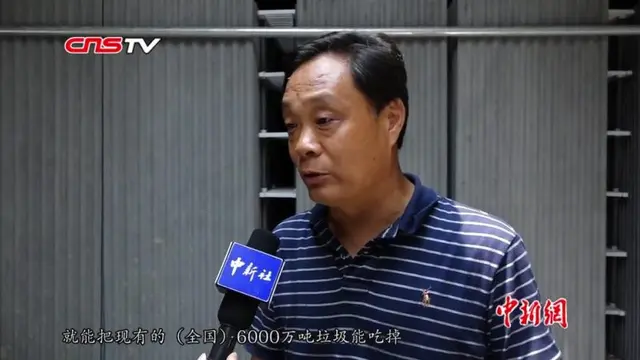 Pabrik Ini Pakai 1 Miliar Kecoak untuk Musnahkan Limbah Makanan