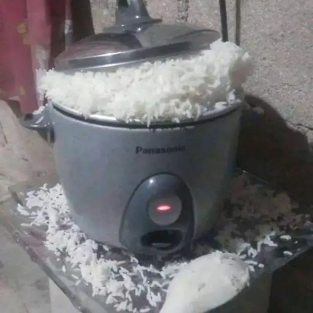 6 Momen Apes Masak Pakai Rice Cooker Ini Bikin Elus Dada, Suasana Hati Jadi Buruk