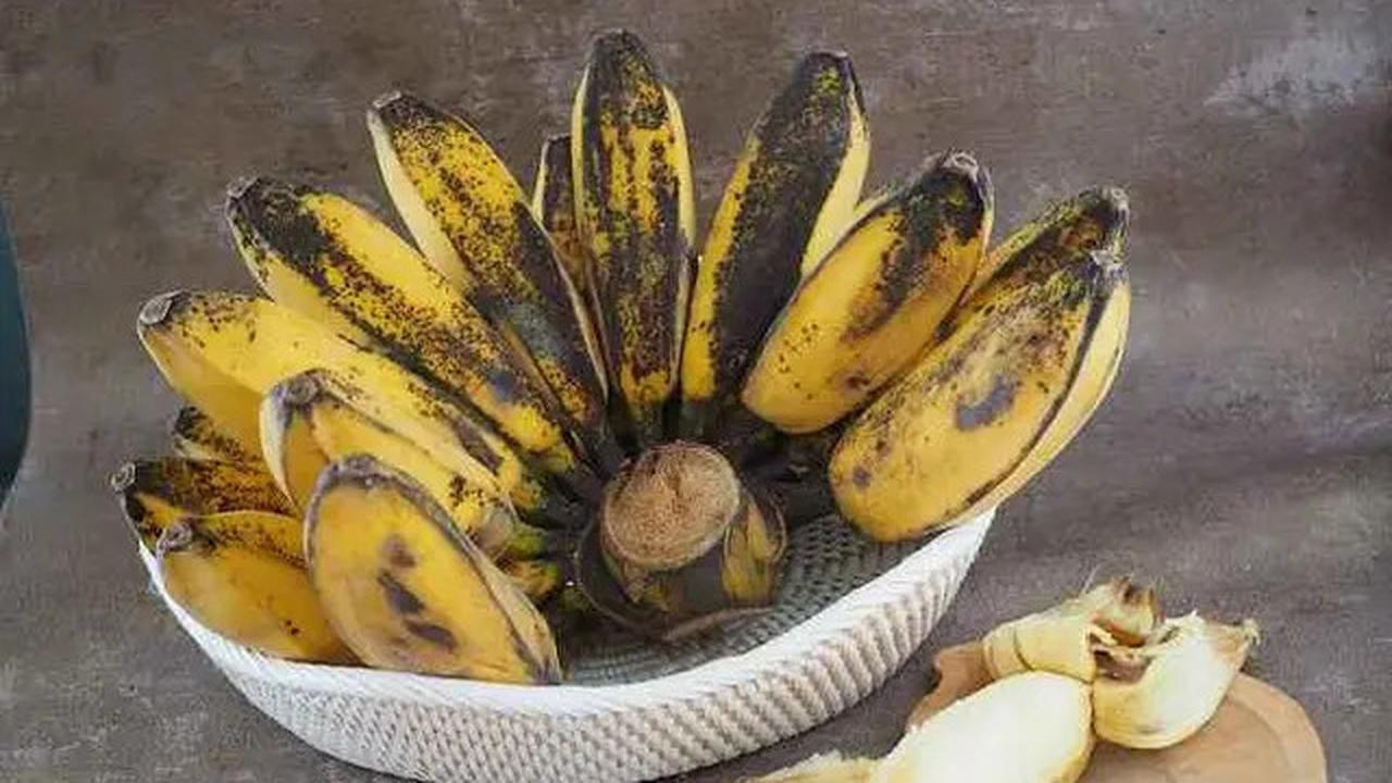 6 Tips Agar Pisang Tidak Cepat Berubah Warna Menjadi Kecokelatan