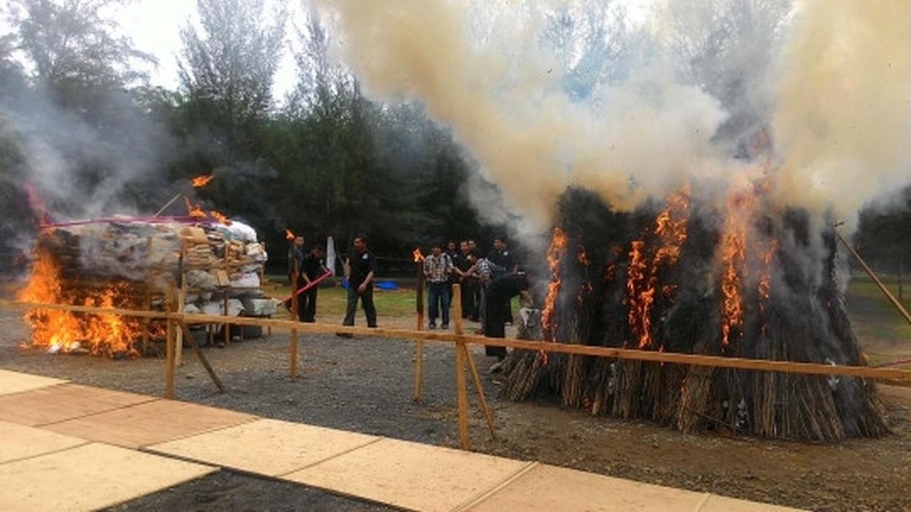 Kapolri pimpin pemusnahan 1,7 ton ganja di Aceh