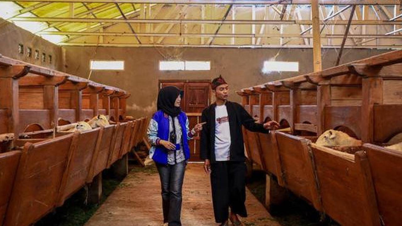 BRI Salurkan KUR sebesar Rp130,2 Triliun untuk Perkuat Sektor Riil dan Ciptaka Lapangan Kerja