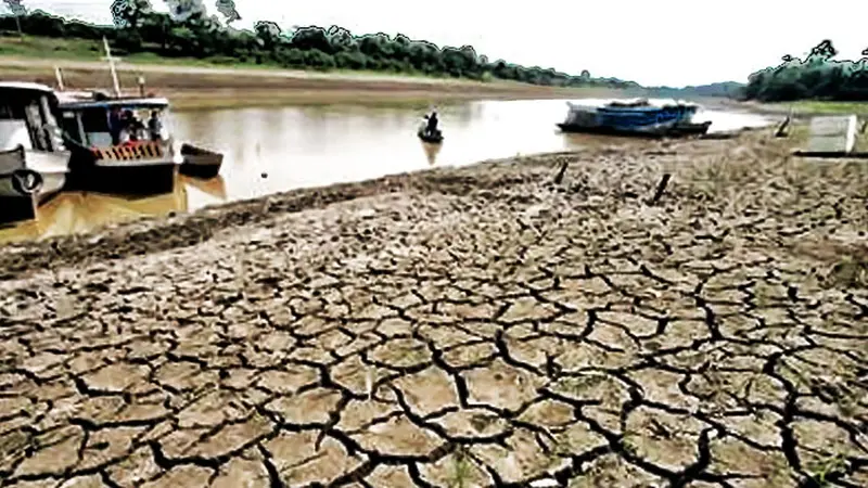 Ilustrasi Liputan Khusus El Nino