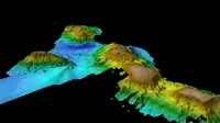 Para peneliti telah menemukan rangkaian besar gunung berapi bawah laut kuno, sekitar 400 kilometer timur Tasmania. Peta sonar ini menunjukkan beberapa gunung laut serukuran besar, dimulai sekitar 5.000 meter di bawah permukaan samudra. (CSIRO)