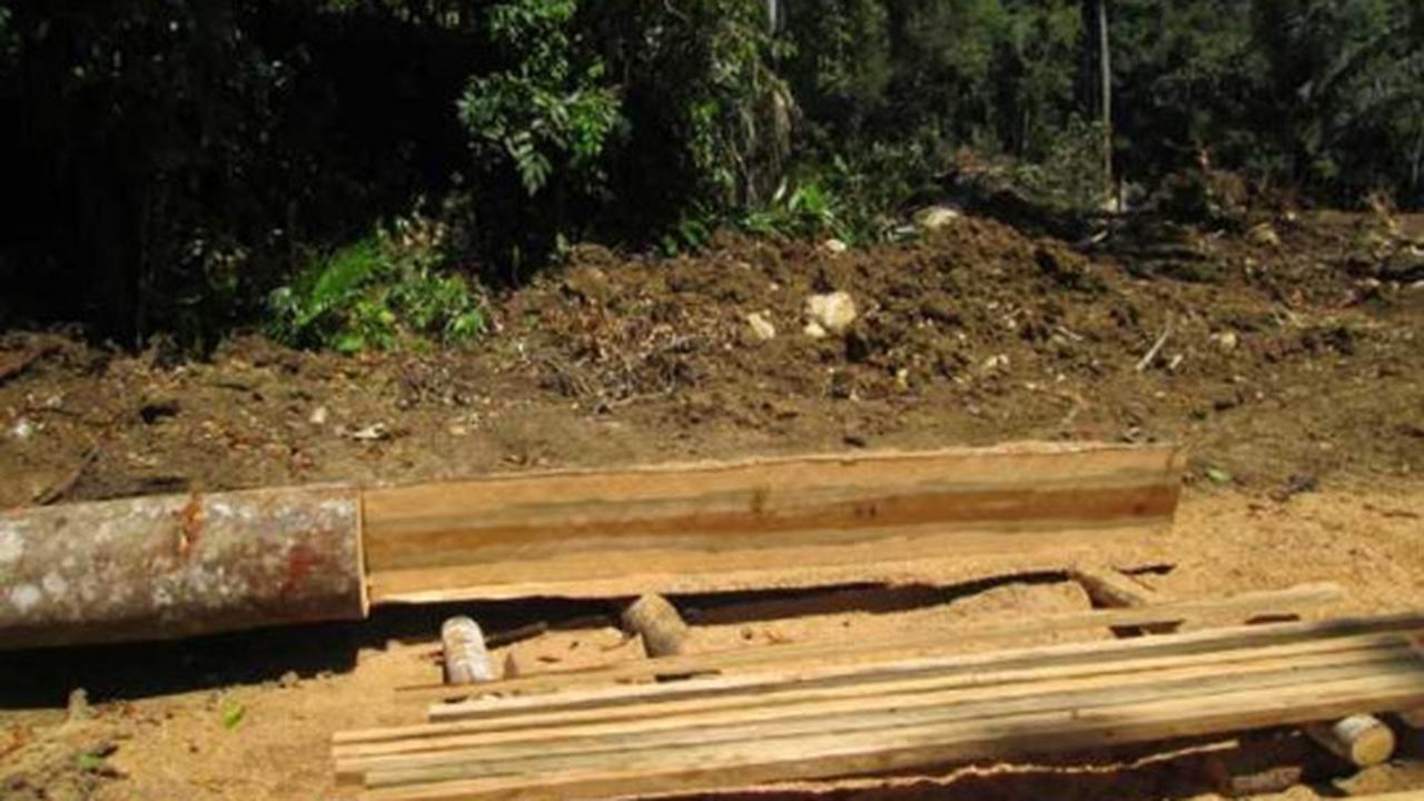 Parahnya kerusakan hutan lindung di Sulut akibat tambang ilegal