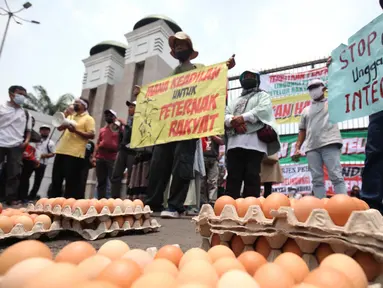 Peternak ayam membawa spanduk dan telur di berunjuk rasa di depan gedung MPR/DPR/DPD, Senayan, Jakarta, Senin (11/10/2021). Dalam aksinya Peternak ayam yang berasal dari Jawa Timur, dan Jawa Tengah menuntut kenaikan harga karna anjloknya harga telur ditingkat peternak. (Liputan6.com/Johan Tallo)