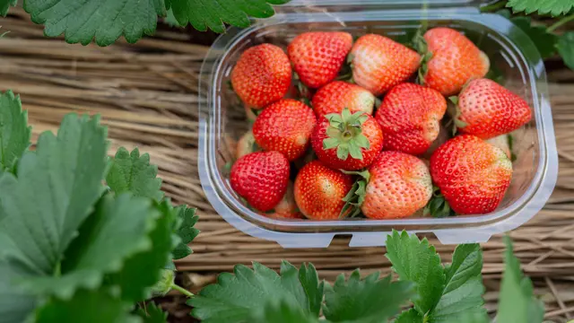 Strawberries
