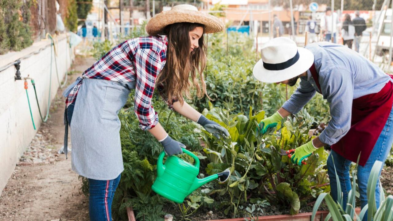 Merawat Tanaman, Merawat Diri: Manfaat Berkebun bagi Kesehatan Fisik dan Mental