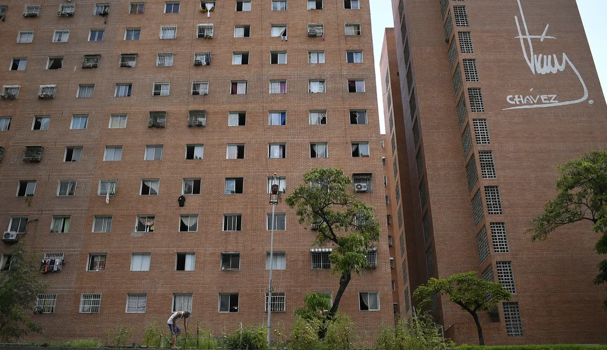 Santos Rodriguez merawat kebun sayur perkotaannya yang dia tanam di jalur median di sepanjang Libertador Ave., yang terletak di seberang jalan dari gedung apartemen perumahan umum tempat dia tinggal, di Caracas, Venezuela (27/8/2020). (AP Photo/Matias Delacroix)