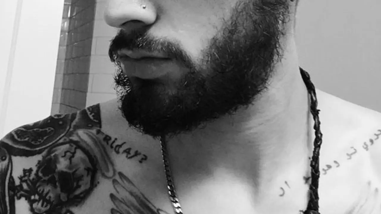 Zayn Malik