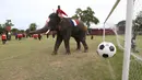 Seekor gajah mencoba menyelamatkan gawangnya saat melawan tim Ayutthaya Wittayalai School di sebuah sekolah di Provinsi Ayutthaya, Thailand, Selasa (12/6). Pertandingan digelar sebagai kampanye untuk mempromosikan Piala Dunia 2018 (AP Photo/Sakchai Lalit)
