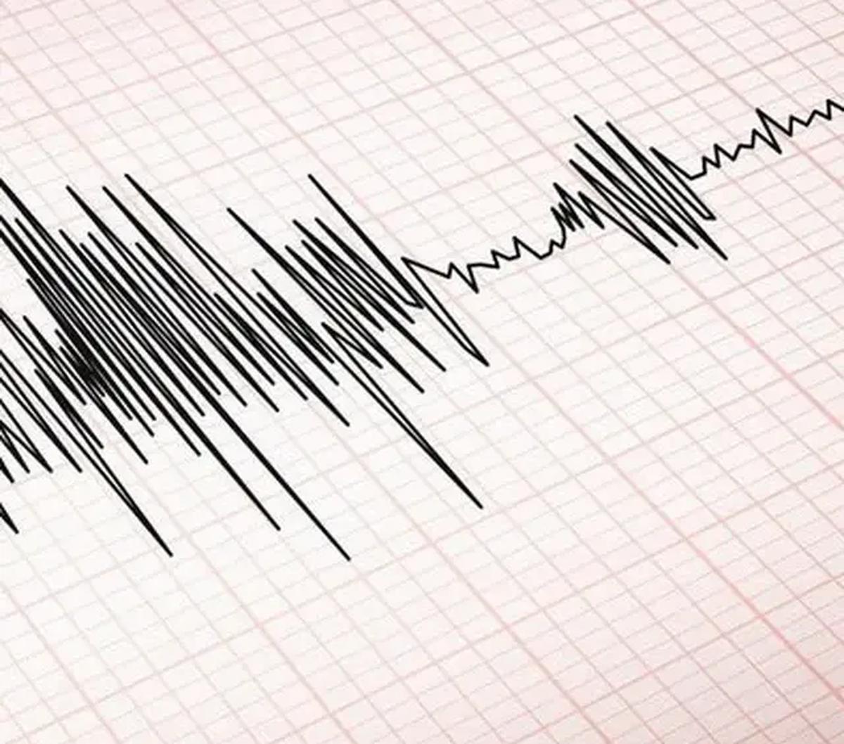 Gempa ini dilaporkan tidak memicu gelombang tsunami. Belum ada laporan mengenai dampak gempa ini.