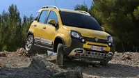 Panda Cross, Crossover Imut dari Italia