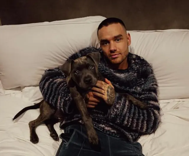 Penyelidikan kasus kematian Liam Payne masih berlanjut, karyawan hotel terlibat