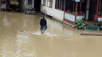 Banjir rendam rumah dan sawah di Bengkulu (Liputan6.com / Yuliardi Hardjo Putro)