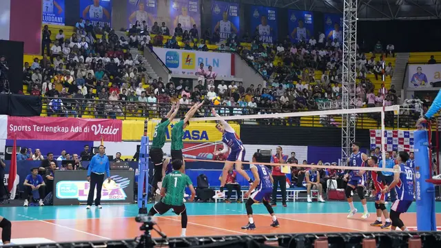 PLN Mobile Proliga 2024