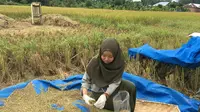 Kementan Persilakan Daerah Realokasi Pupuk Antisipasi Kelangkaan