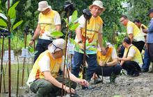 IKN Kota Hutan Dunia: Komitmen Nusantara Wujudkan Pembangunan Selaras Alam dan Pemulihan Lingkungan